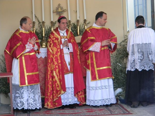 Distribuzione delle Palme